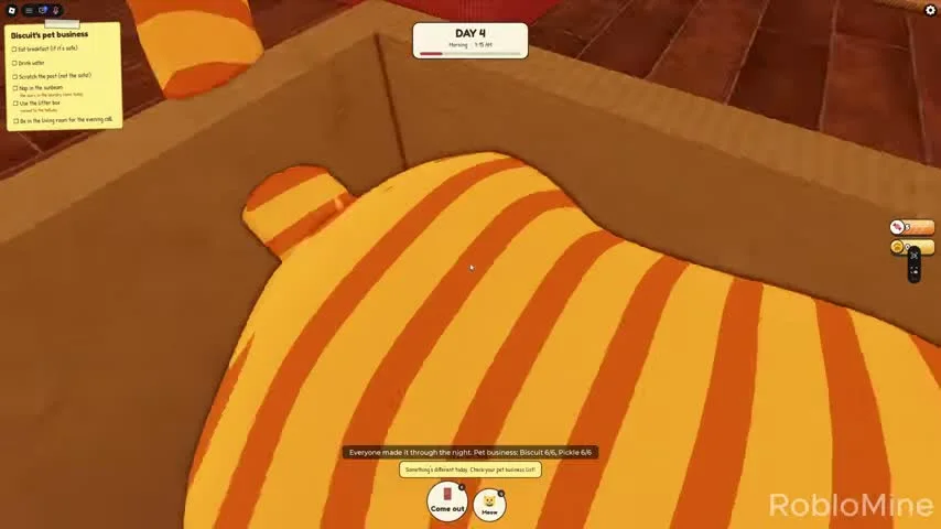 Pet inside the cardboard box after the night